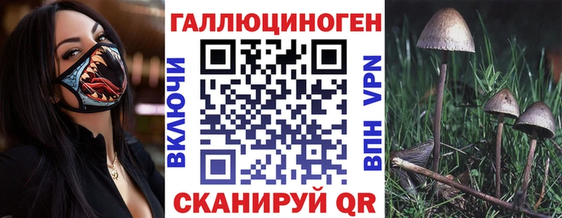 Галлюциногенные грибы Psilocybine cubensis  Купить  Каменск-Уральский 